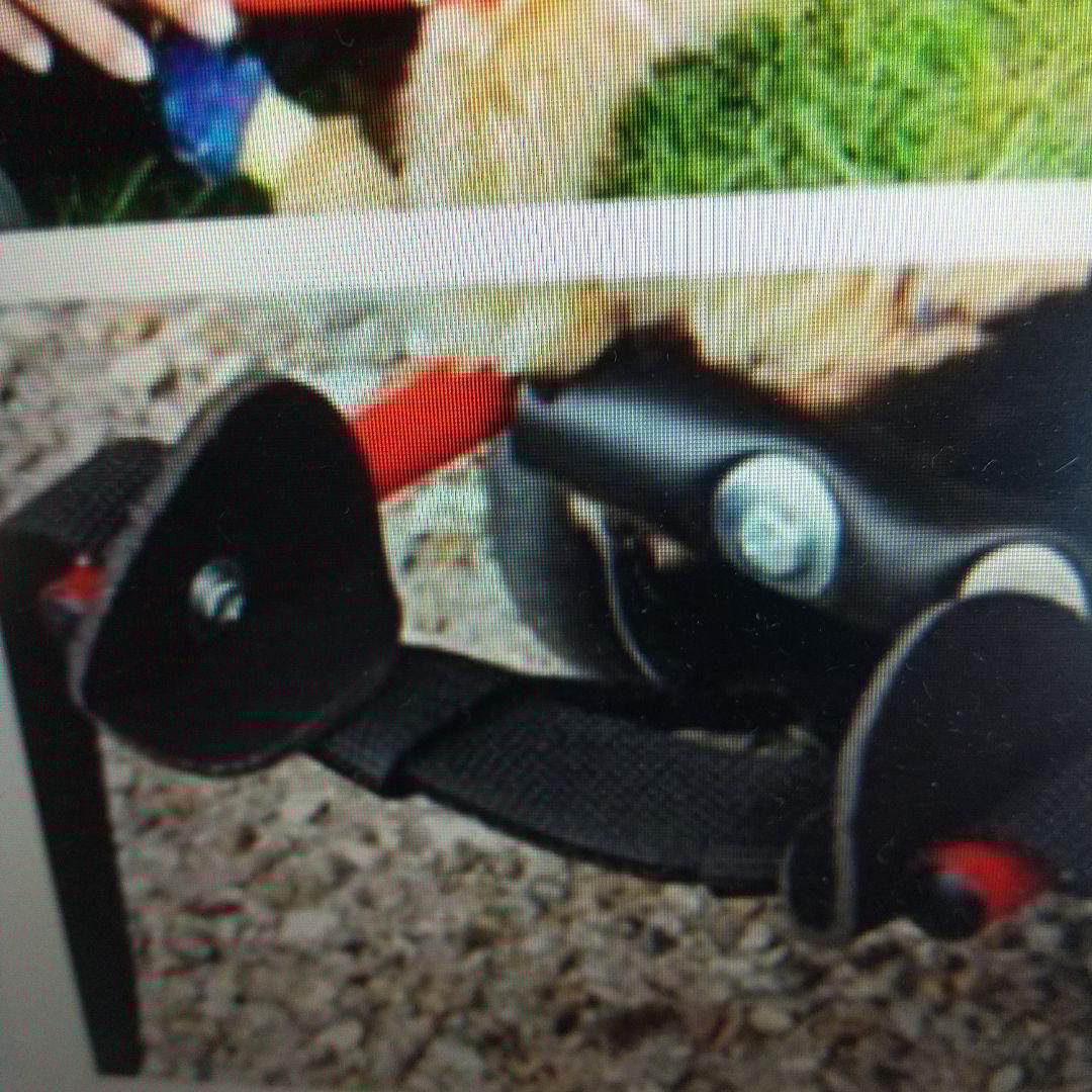 犬用車いす 赤 ミニチュアダックスフンド専用