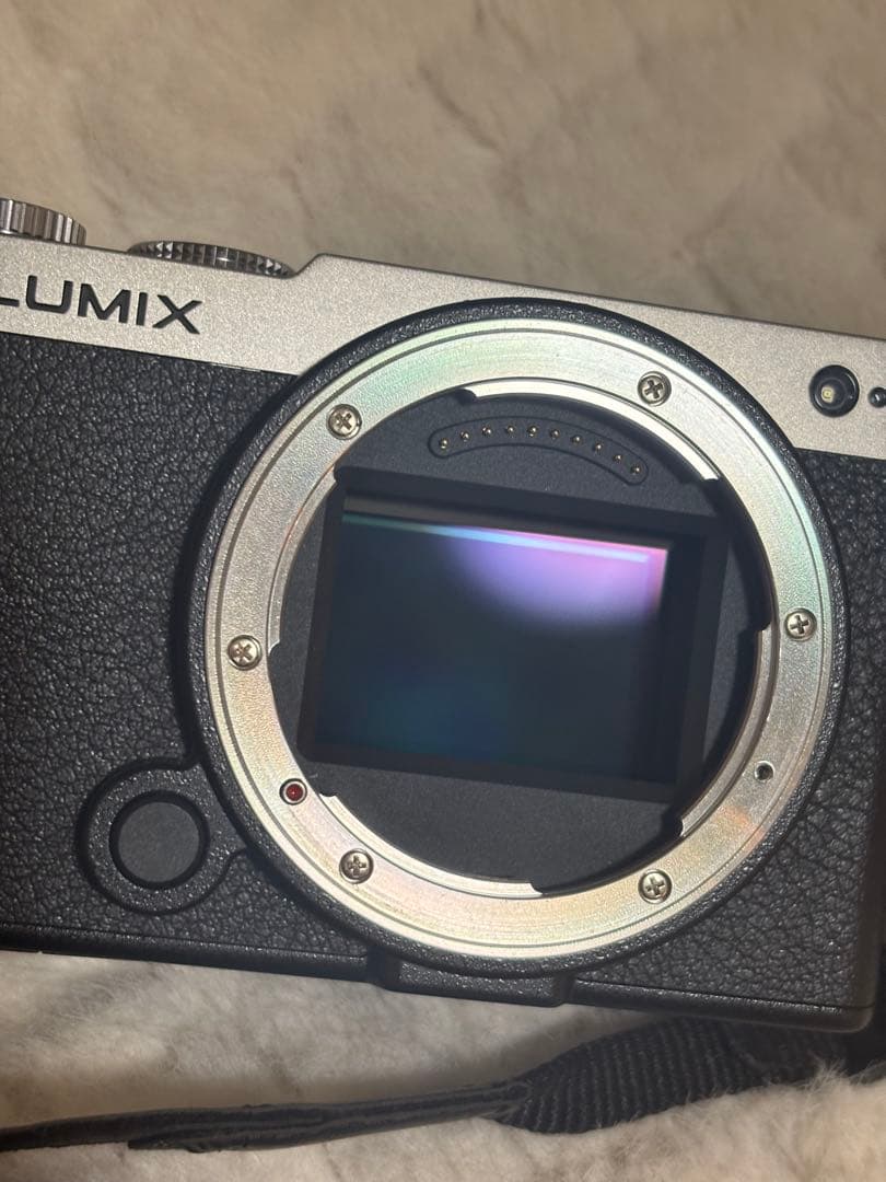 値下げ不可！Panasonic LUMIX S9 ブラックシルバー コンパクト