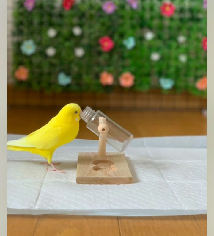 A8　くるくるフォージントイ3点イセット　バードトイ　難易度高め⭐⭐