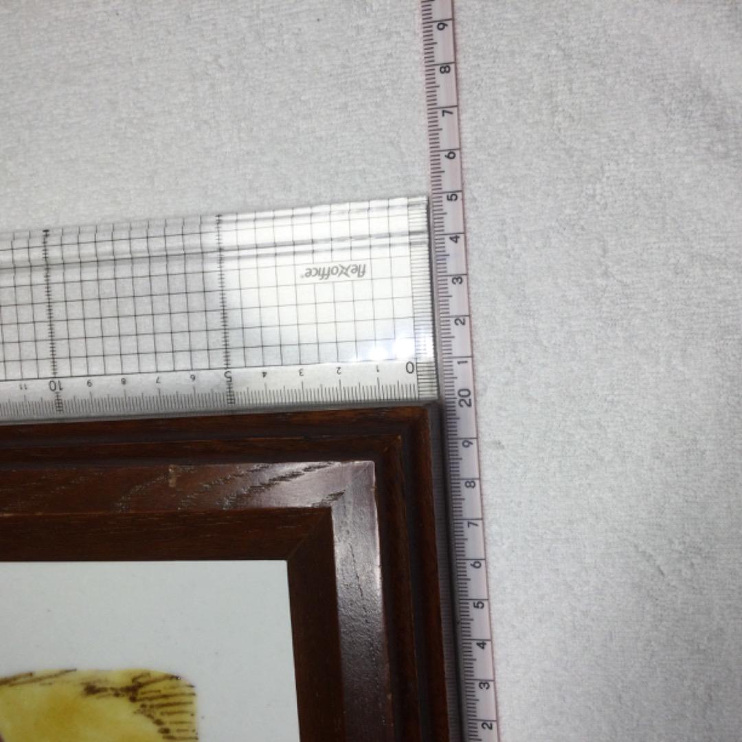 瀧田項一　陶額　項　魚