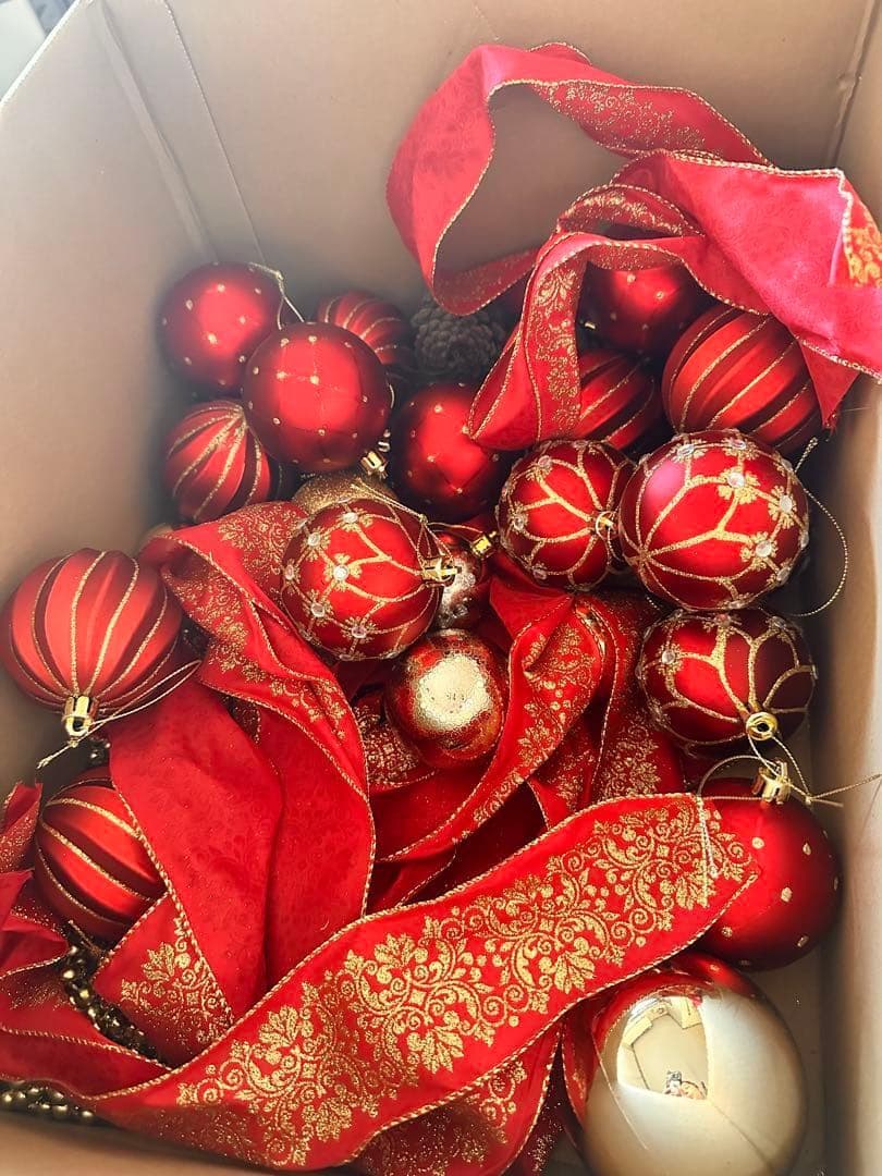 クリスマス Saya