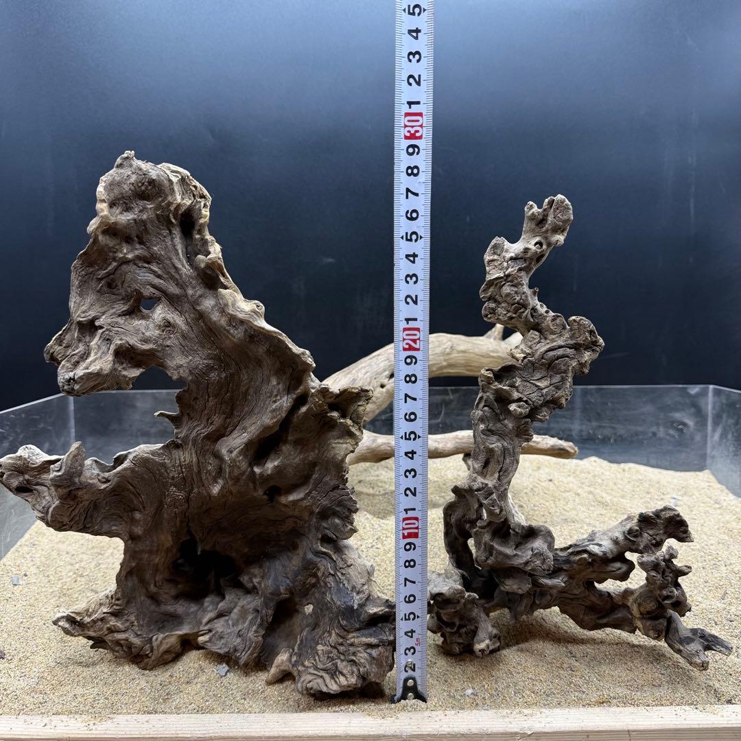 MJW-7215 「特大」ジンジャーウッド2本セット　天然流木 アクアリウム