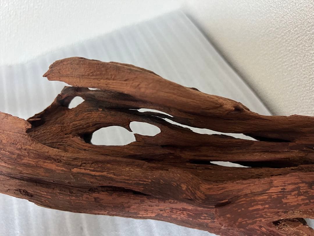 HX-093流木　マシンガンウッド　ホーンウッド アクアリウム　ブランチウッド