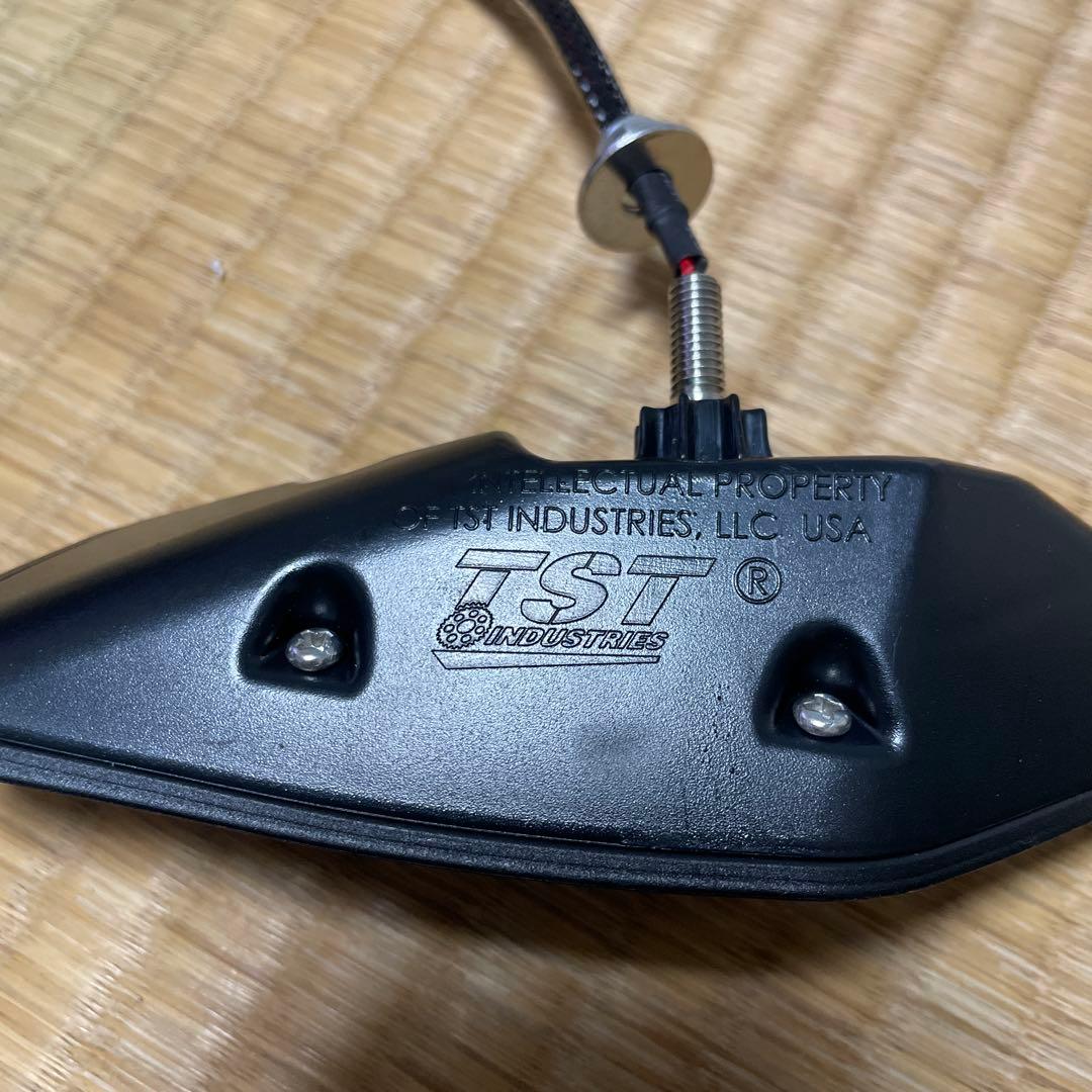  S1000RR TST IndustriesLEDテールライト