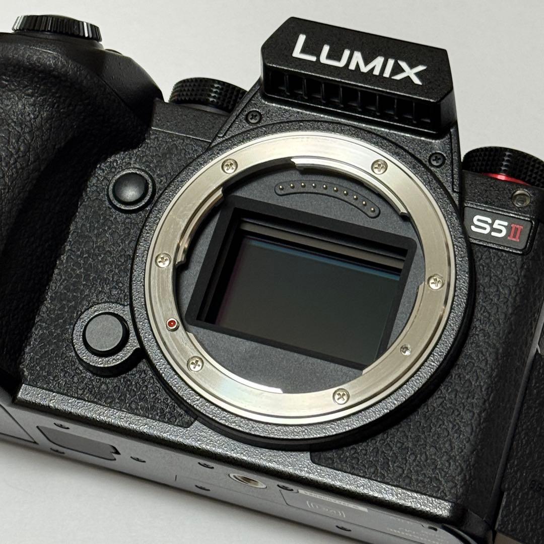 LUMIX S5II S-R2060 フルサイズ　美品　TILTAゲージ