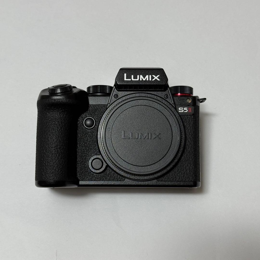 LUMIX S5II S-R2060 フルサイズ　美品　TILTAゲージ