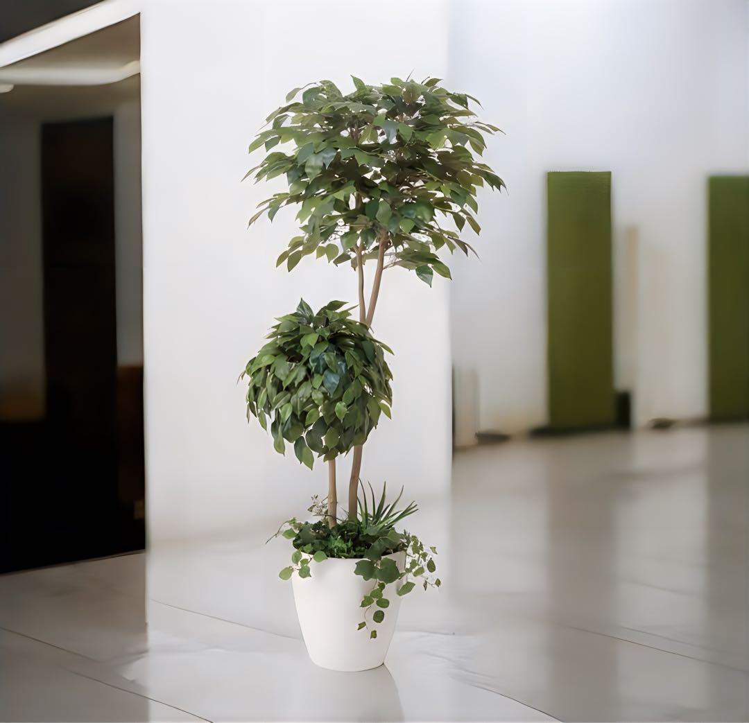 光触媒　人工観葉植物　フェイクグリーン　ベンジャミンダブルフェイス植栽付1.8m