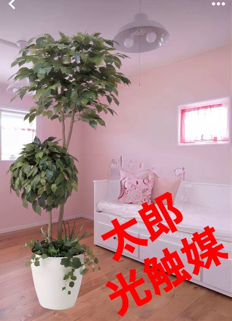 光触媒　人工観葉植物　フェイクグリーン　ベンジャミンダブルフェイス植栽付1.8m