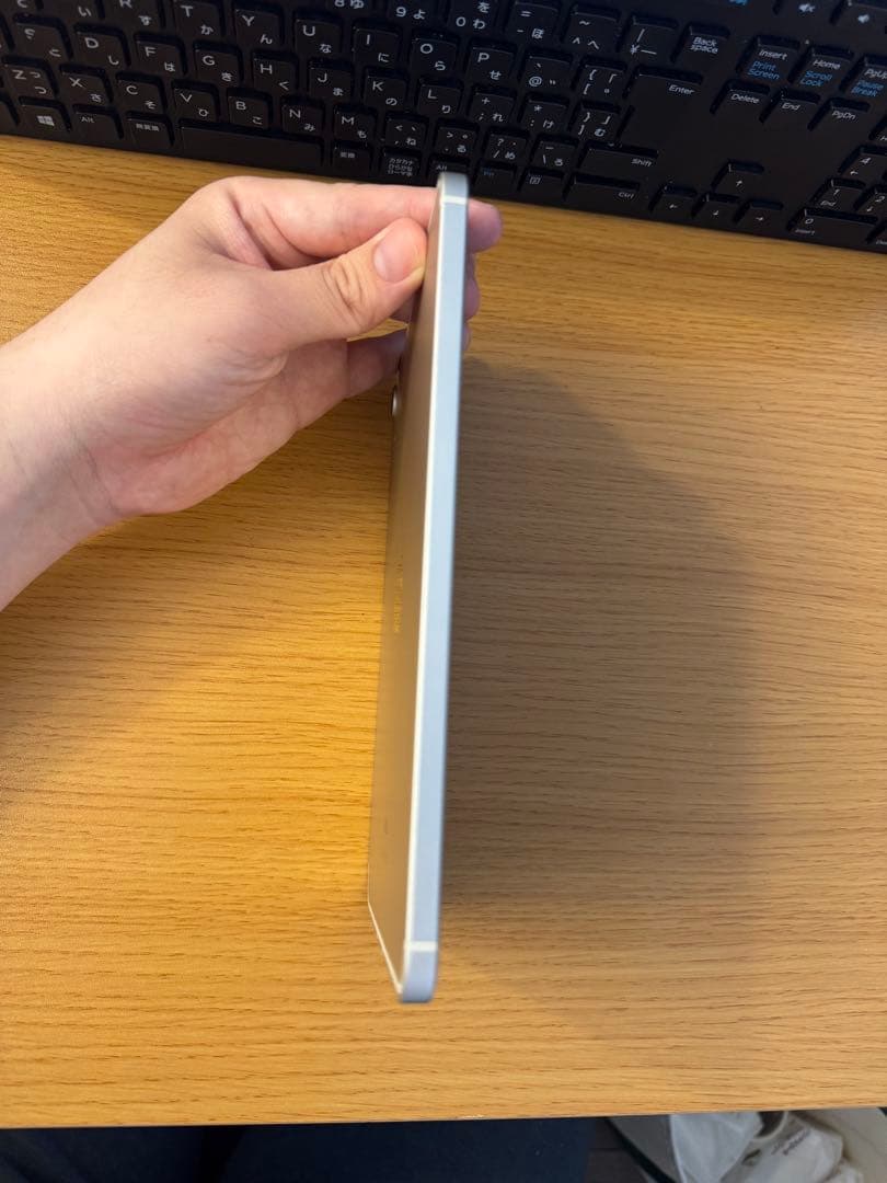 iPad mini 第6世代 256GB Wi-Fi+Cellular