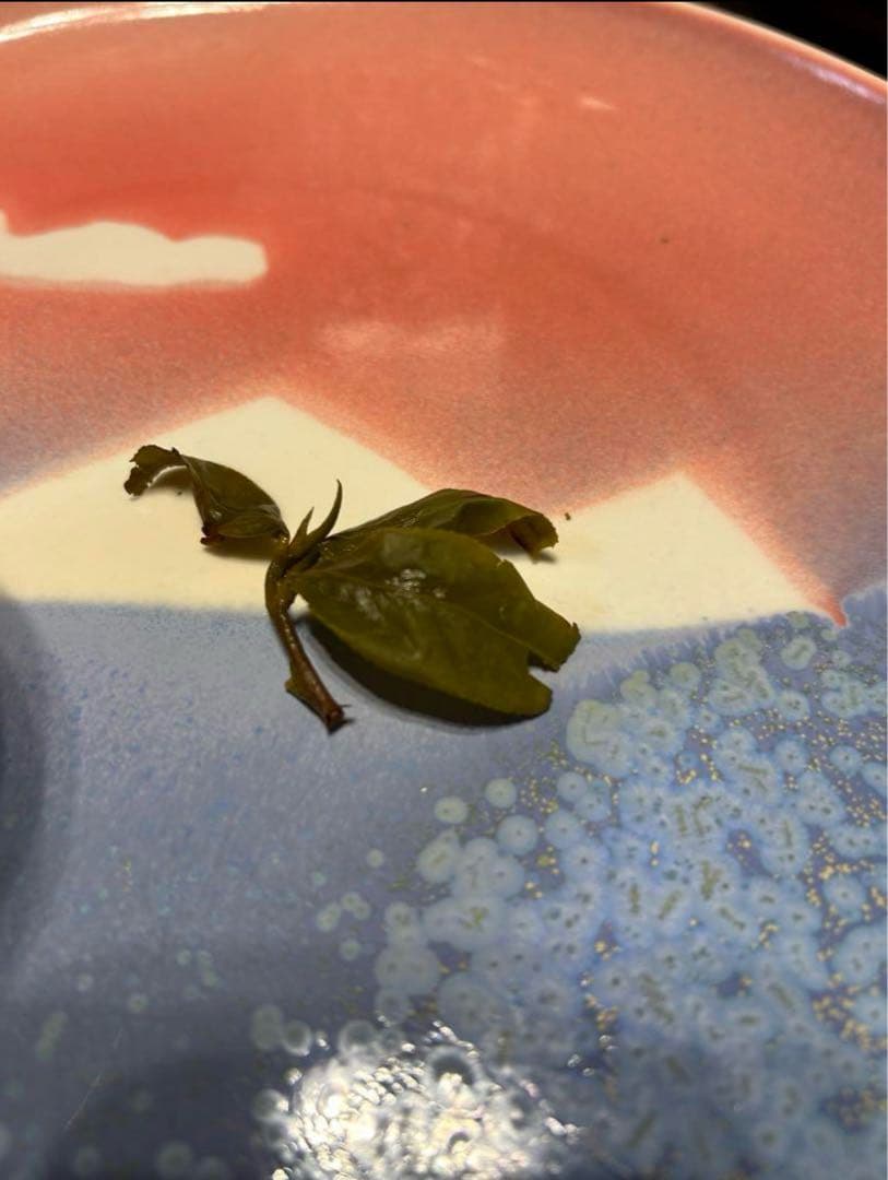 【台湾好茶】頂級 大禹嶺高冷茶150g *5袋 春茶2025手摘み