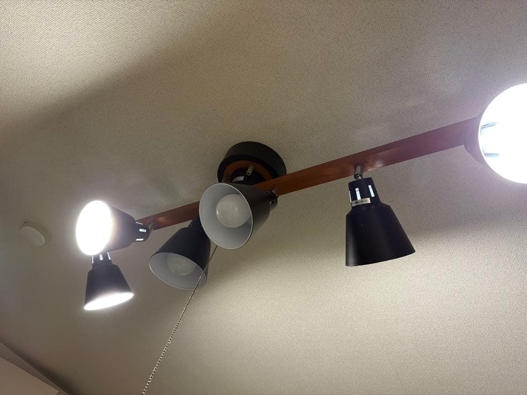 【値段交渉可】エア•リゾームインテリア　シーリングライト　manis