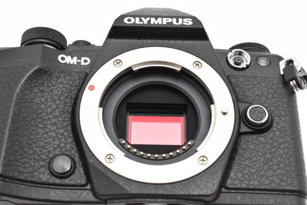 OLYMPUS OM-D E-M5 Mark II ブラック 1410