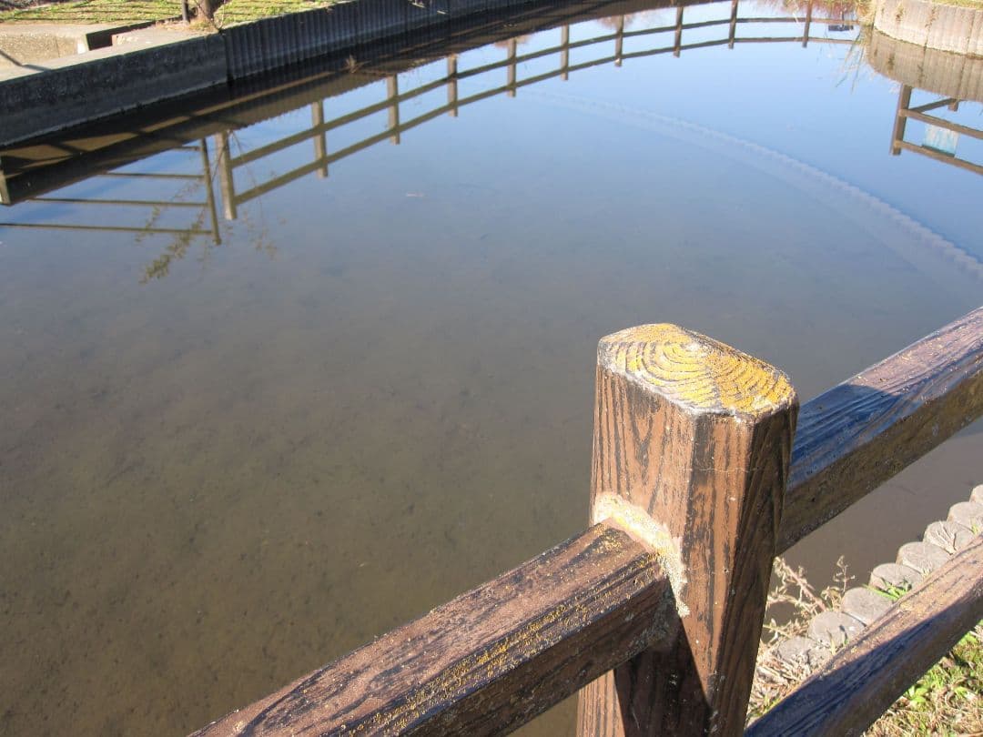 Canon IXY Digital コンパクトデジタルカメラ