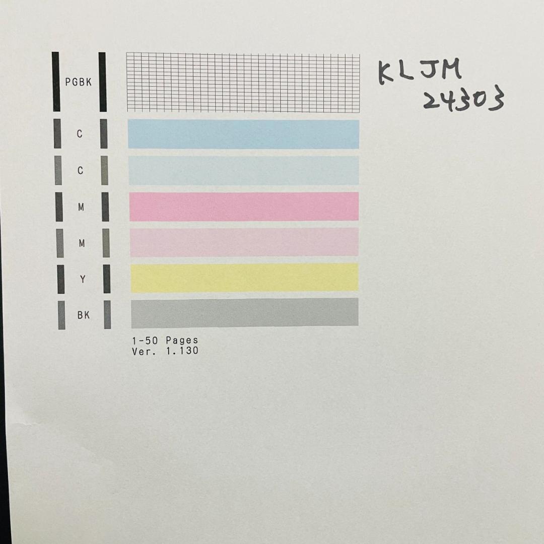 Canon キャノン プリンター 本体 TS5030 (E19)