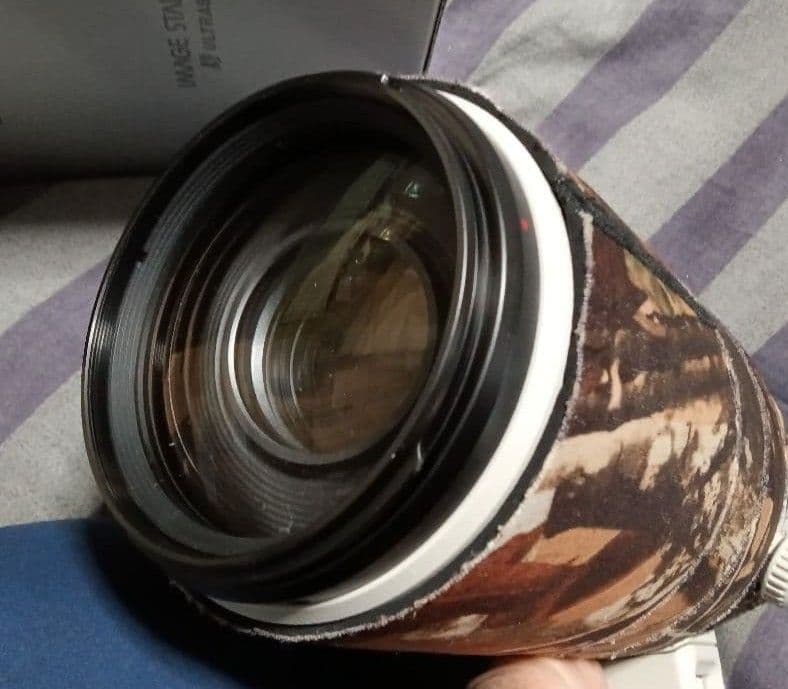 Canon　EF 100-400 f4.5−5.6L is 2型ズームレンズ