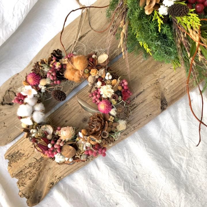 木ノ実のリース