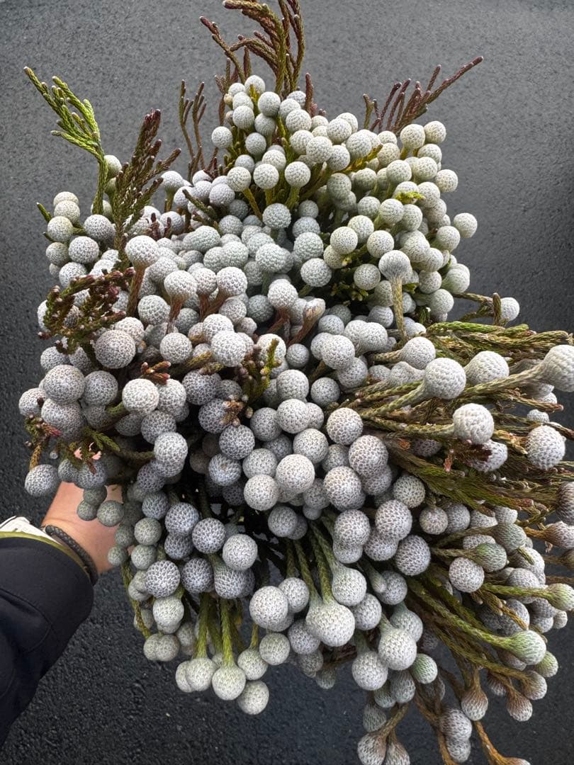 コスモスン様 リクエスト 4点 まとめ商品