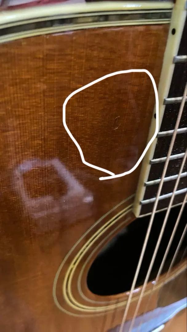 Morris アコースティックギター TF50スプルース単板ハカランダHC付