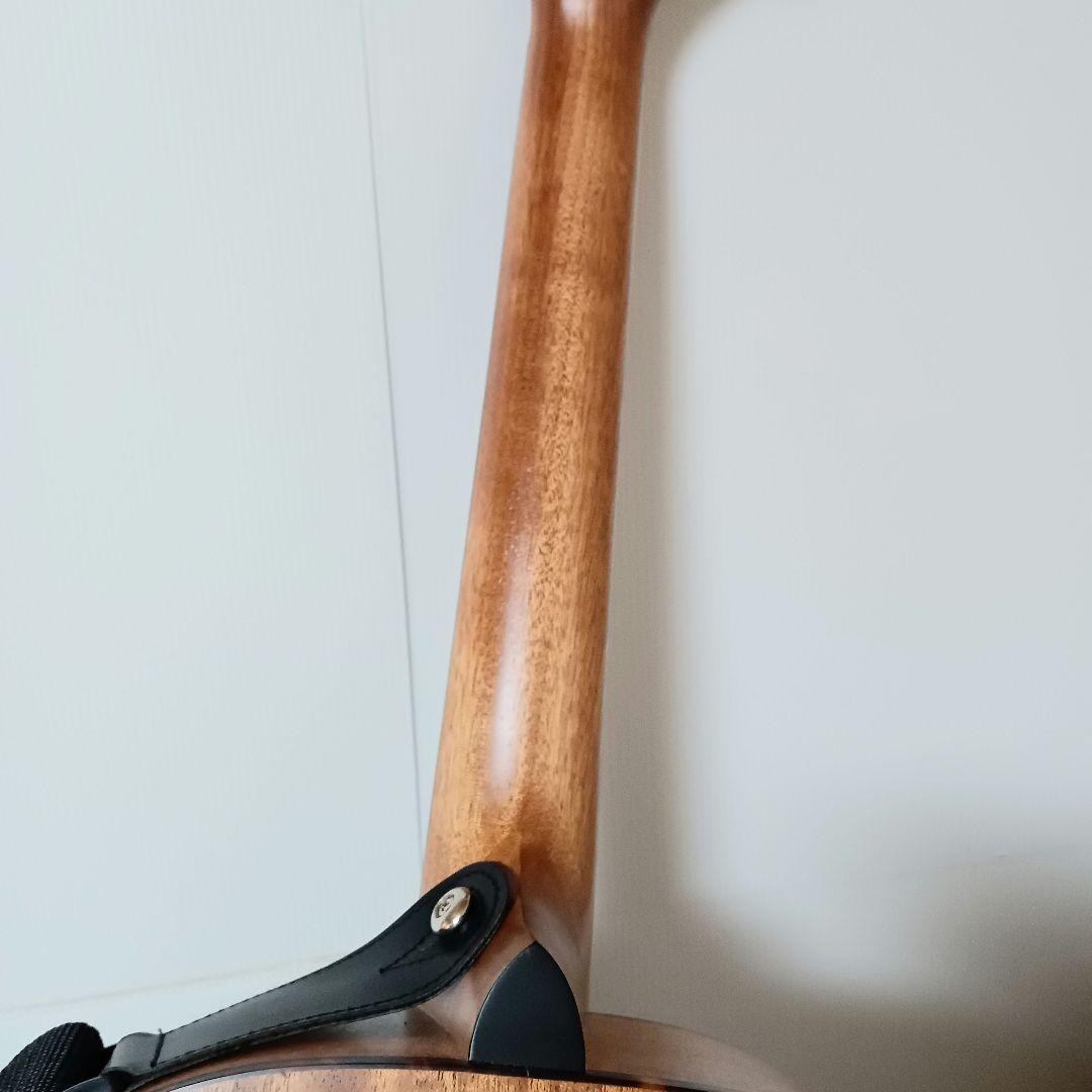 Elvis Master Mini 10アコースティックギター ミニギター 杢目