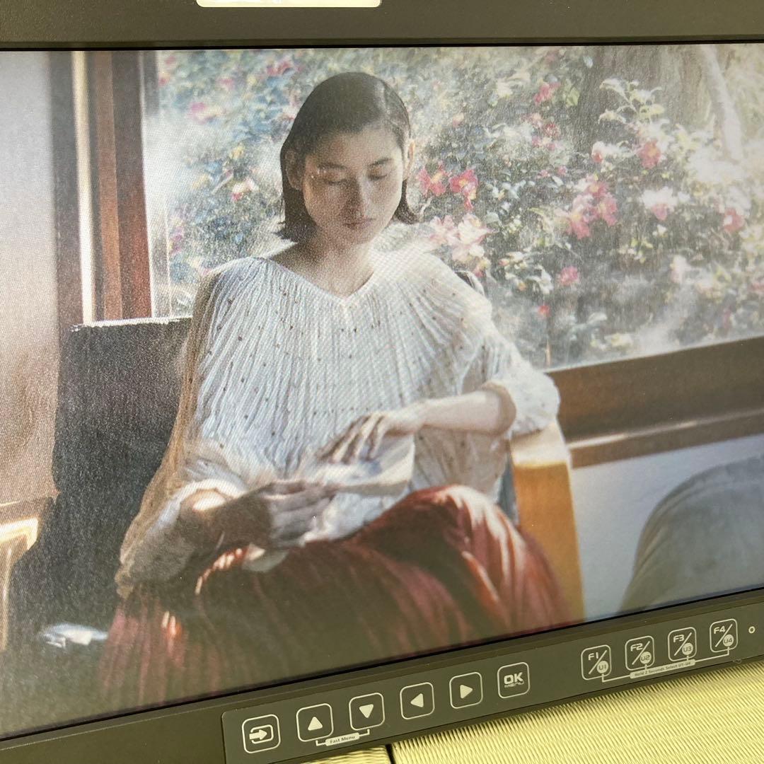 OSEE 15.6インチモニター LCM-156A 本体 専用キャリーケース付き