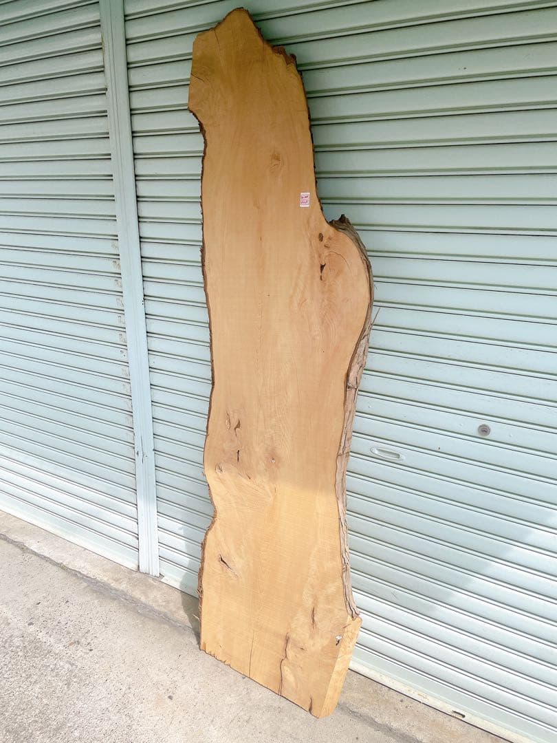 天然　イヌマキ　DIY材　木材　天板　テレビ台　無垢材　カウンターテーブル