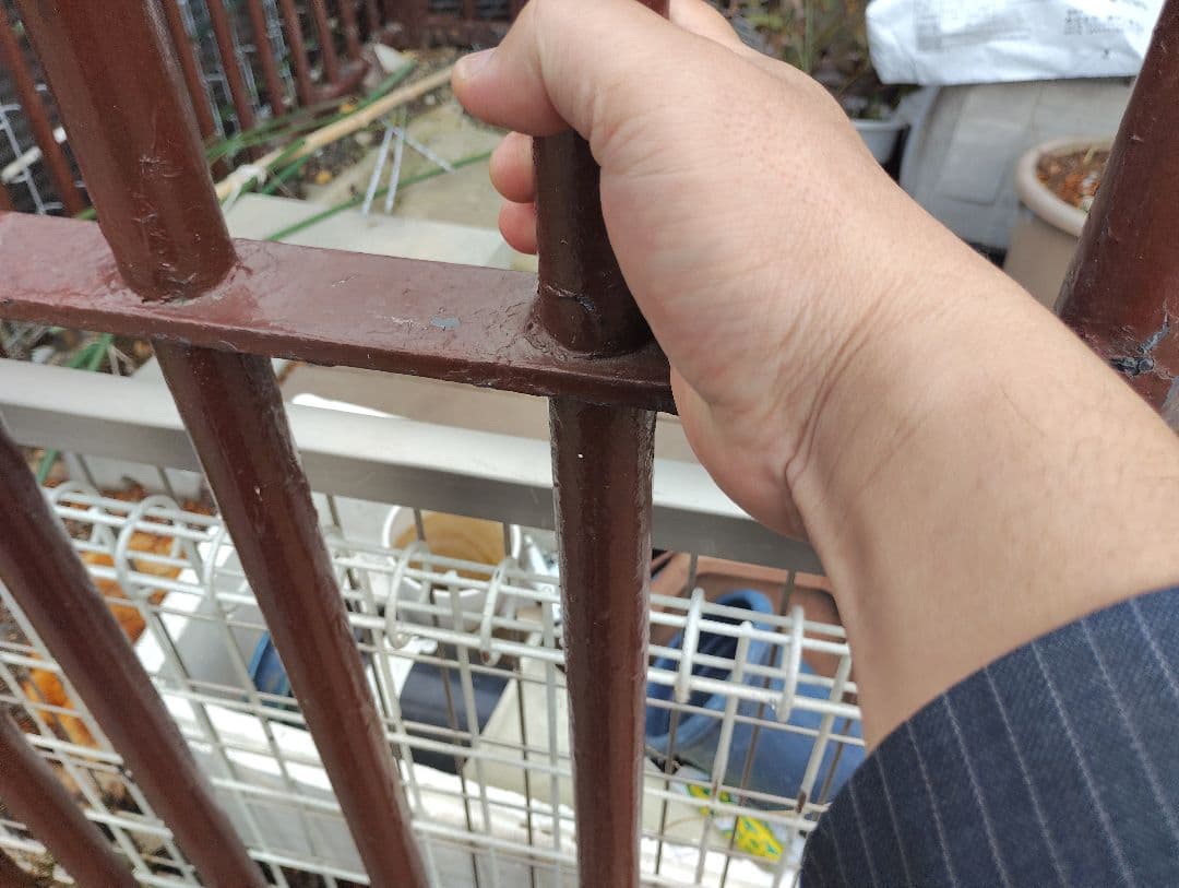 引き取り限定　檻