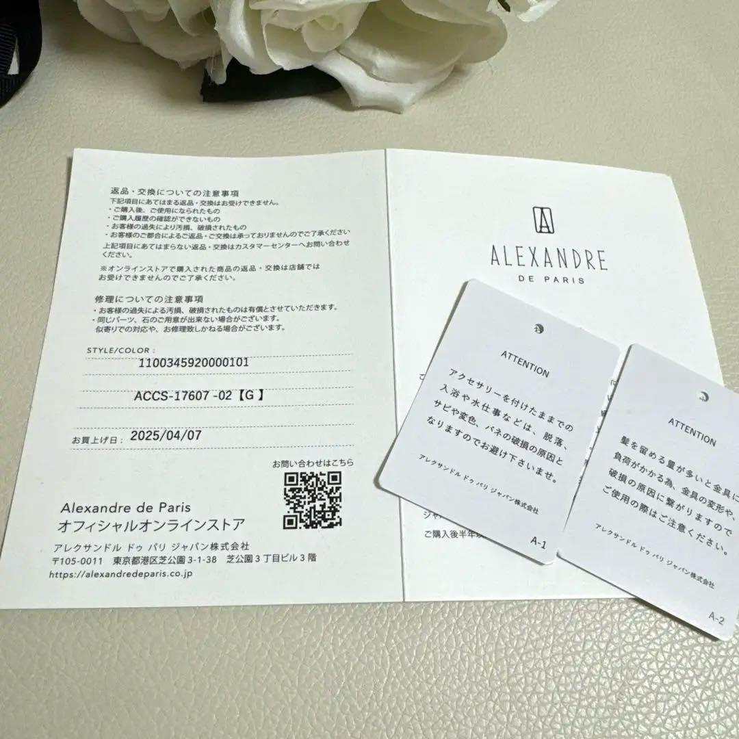 新品未使用　アレクサンドルドゥパリ　Sクリップ　アルビノス　ヘアクリップ