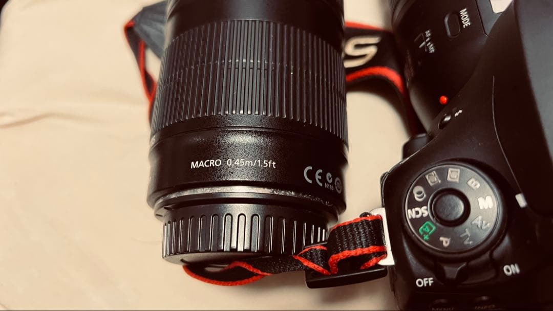 Canon EOS 90D ボディ+レンズセット（望遠+広角）