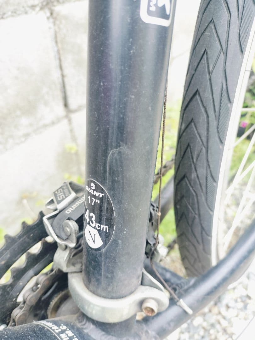 Treed Giant Rock5000 直接引取歓迎近県配送可