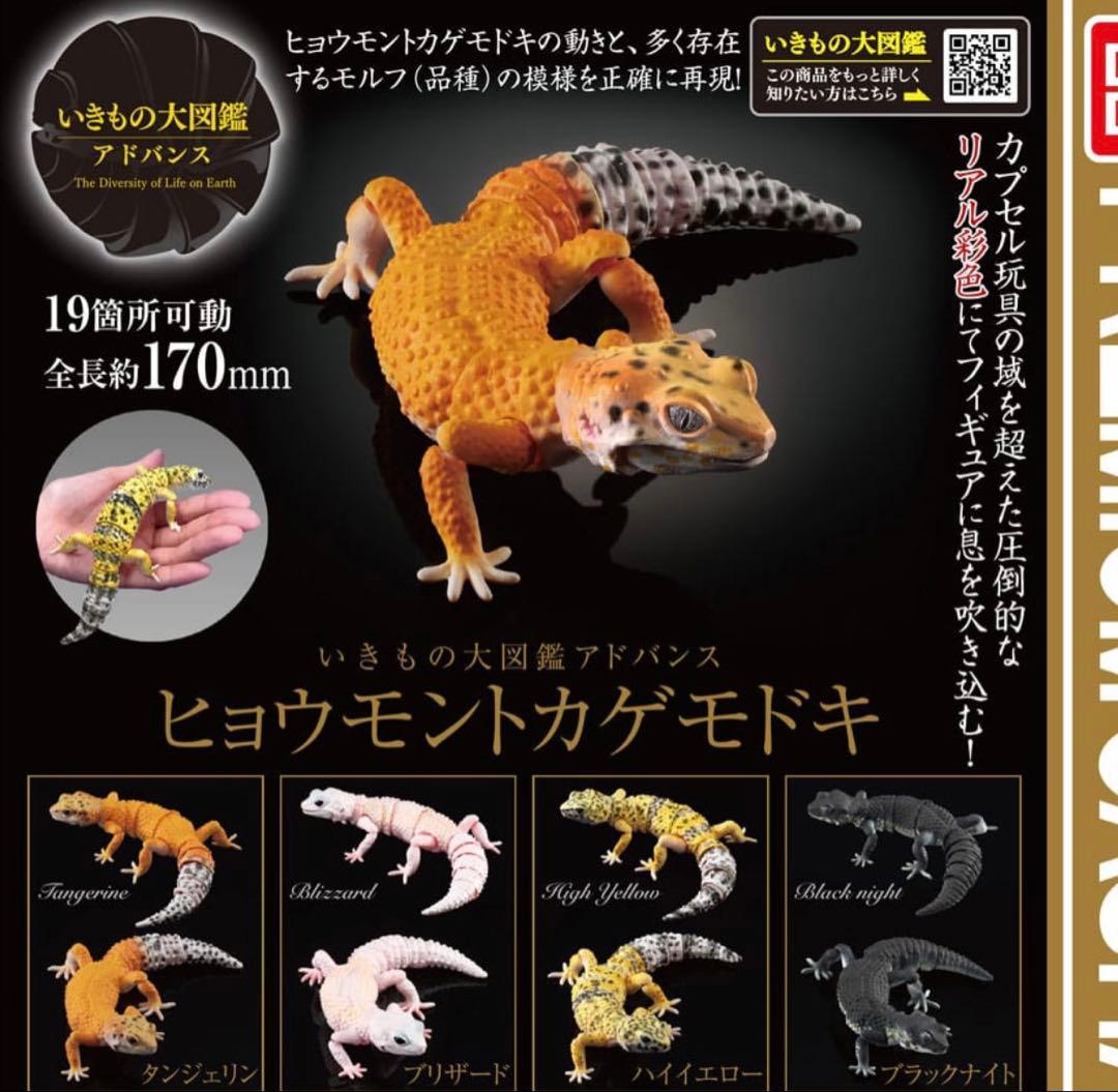 いきもの大図鑑 ヒョウモントカゲモドキ コンプ