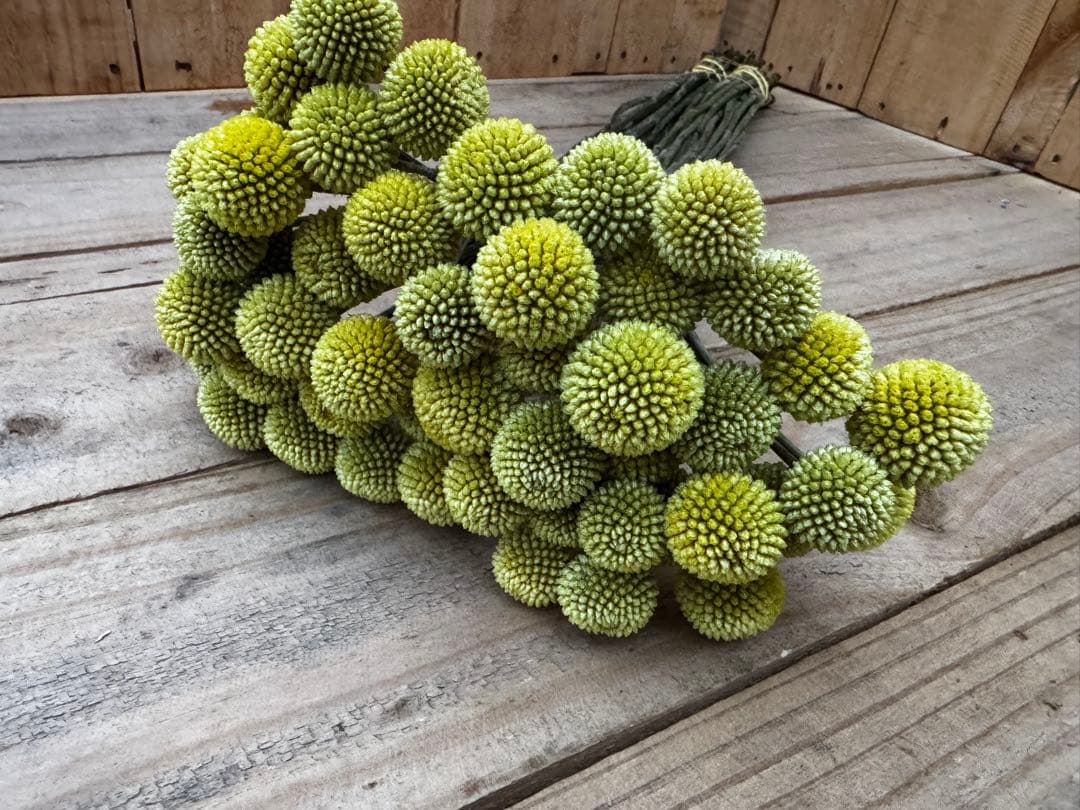 FLEUR8192020様 リクエスト 3点 まとめ商品