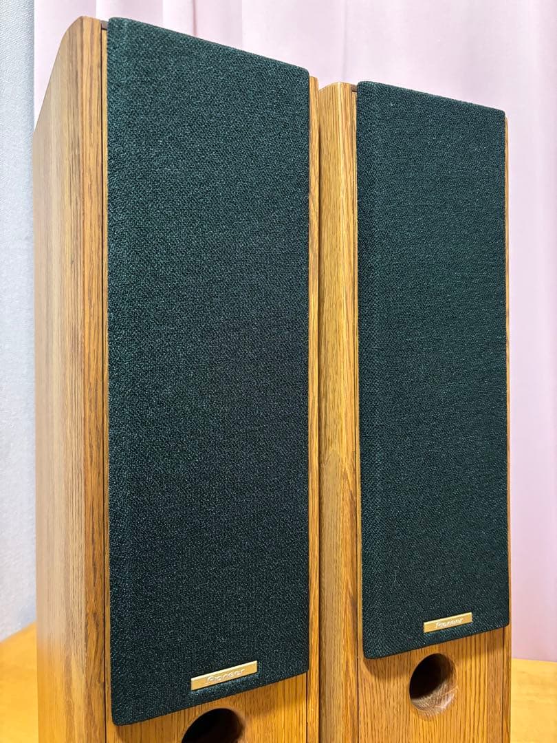 PIONEER S-PM300 ピュアモルトスピーカー