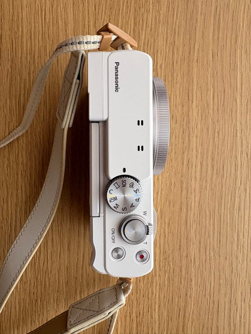 【〜8/22出品・お値下げ可】Panasonic LUMIX DC-TZ95