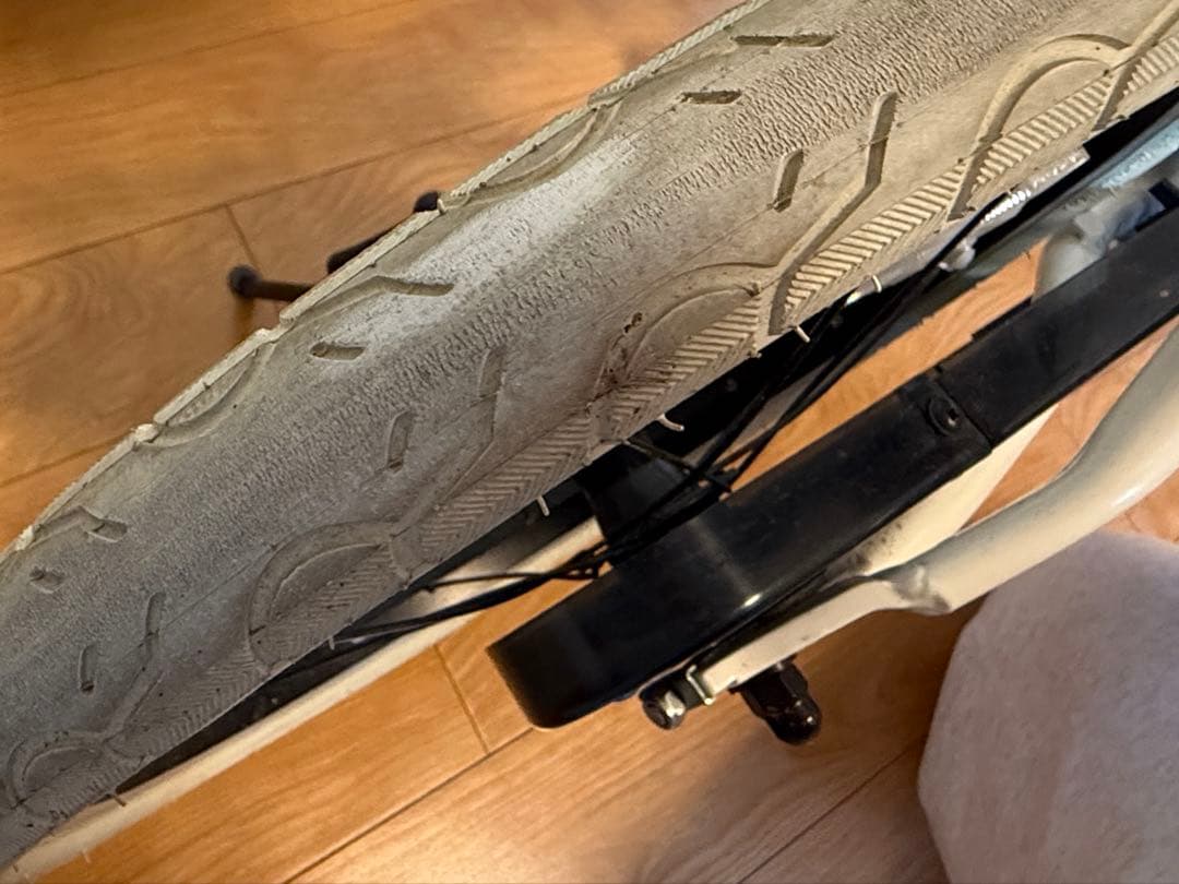 ルイガノLouis Garneau 子供用自転車 18インチ ホワイト