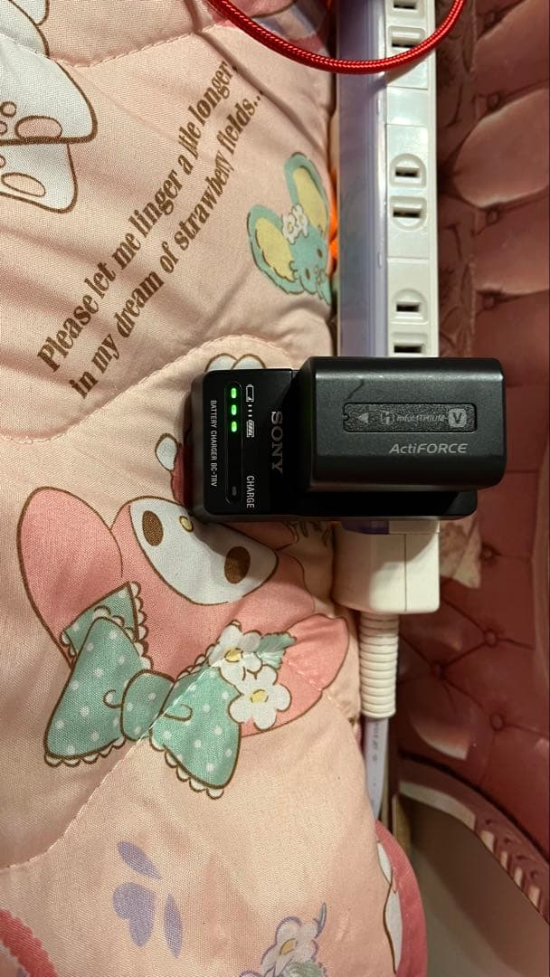 ビデオカメラ Sony Handycam HDR-CX630V