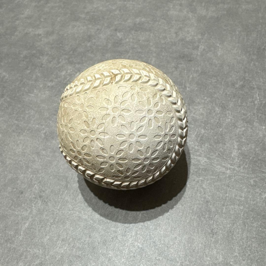 naigai TECHNICAL PITCH Mサイズ テクニカルピッチ