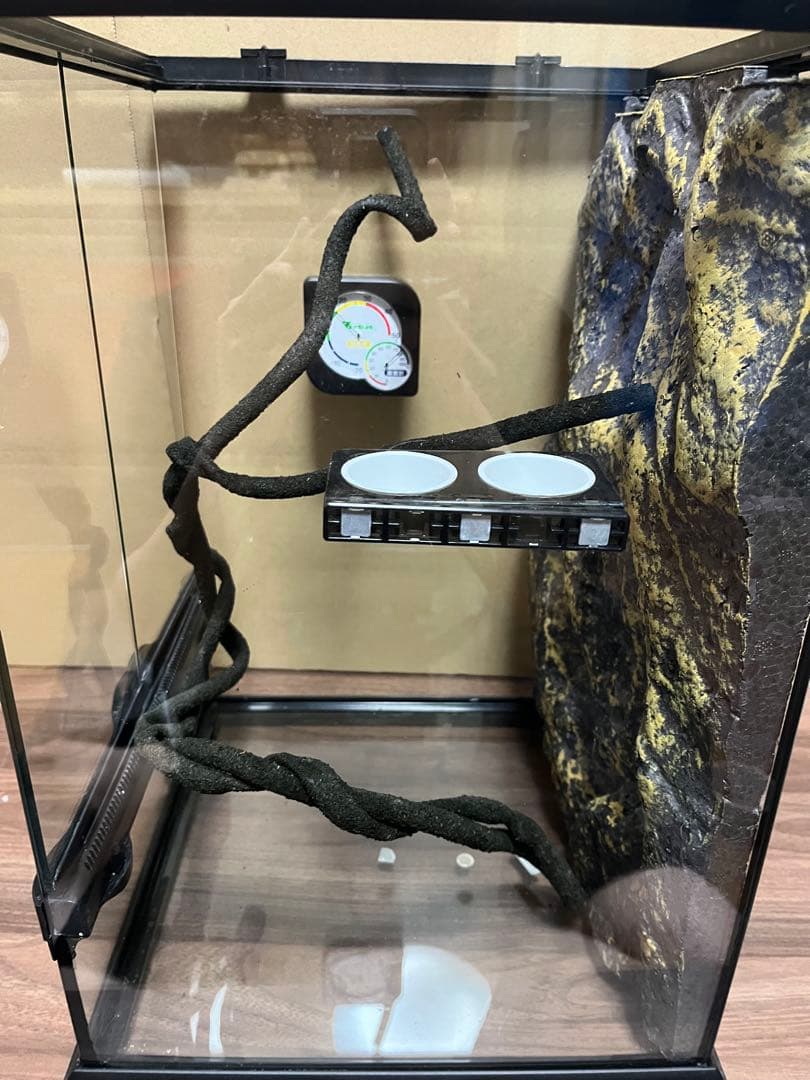 GEX グラステラリウム　3045 爬虫類　ケージ　温湿度計　餌水入れ　人工ツタ