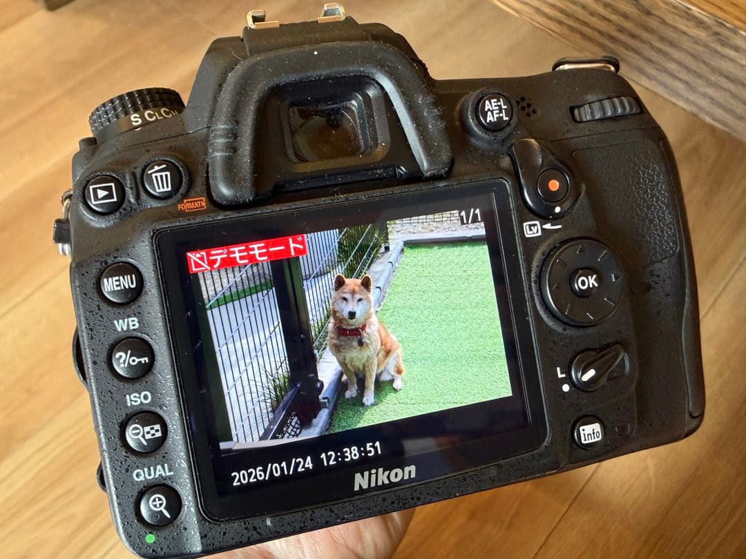 ぼー。