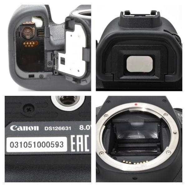 【美品】 Canon EOS 6D Mark II 《ショット数3053回》