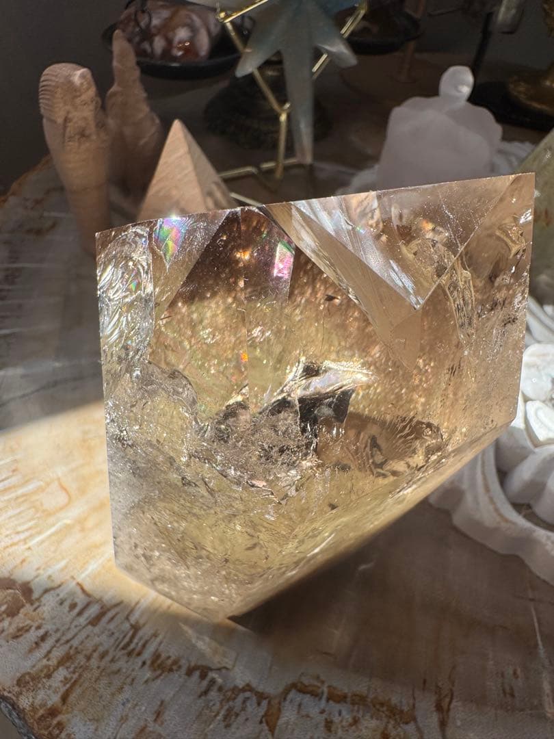 【ちり】6点おまとめセット