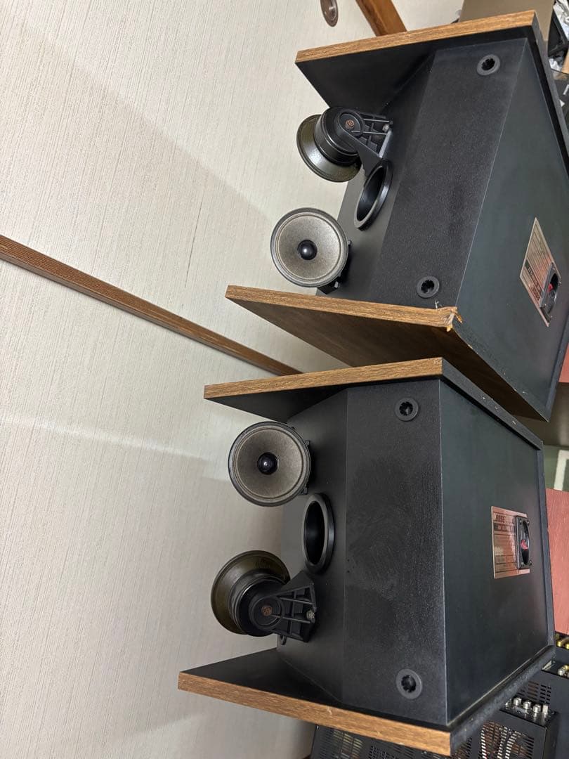 Bose 301 series ii 珍しい色