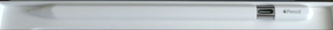 Apple Pencil （USB-C） 元箱付き
