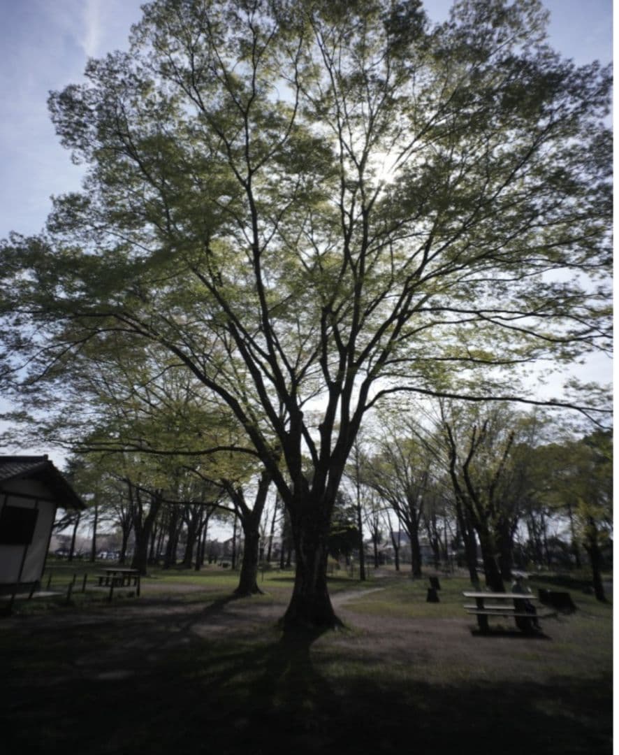 ☆最終値下げ☆ルサール　MP-2 20ｍｍ　f５.6 超希少レンズ