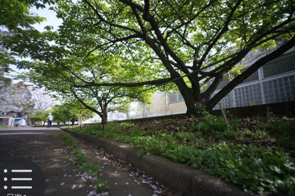 ☆最終値下げ☆ルサール　MP-2 20ｍｍ　f５.6 超希少レンズ