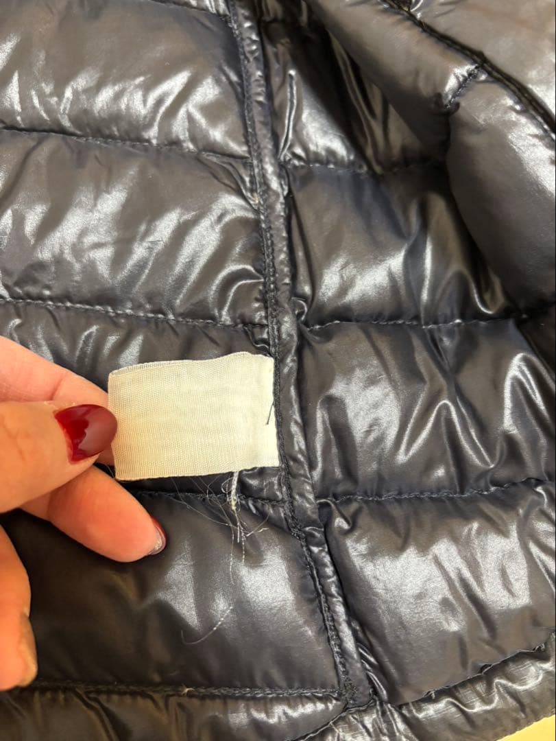 THE NORTH FACE Summit Series 700 ダウンベスト