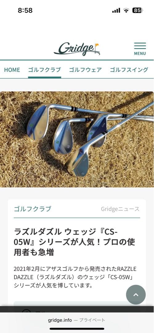 RAZZLE DAZZLE CS-05W 48°