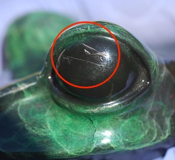 K3805 1992s FROGMAN Tim Cotteril カエル アート