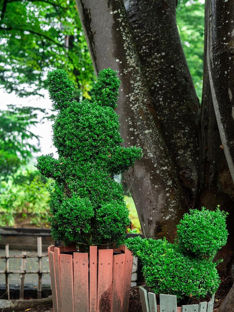 レンズ(単焦点) LEICA DG NOCTICRON 42.5mm F1.2 H-NS043