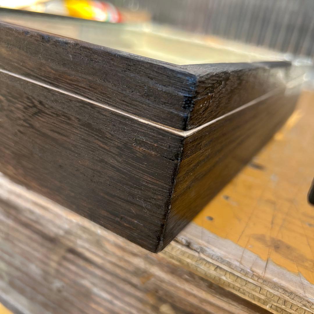 大型　中型標本箱