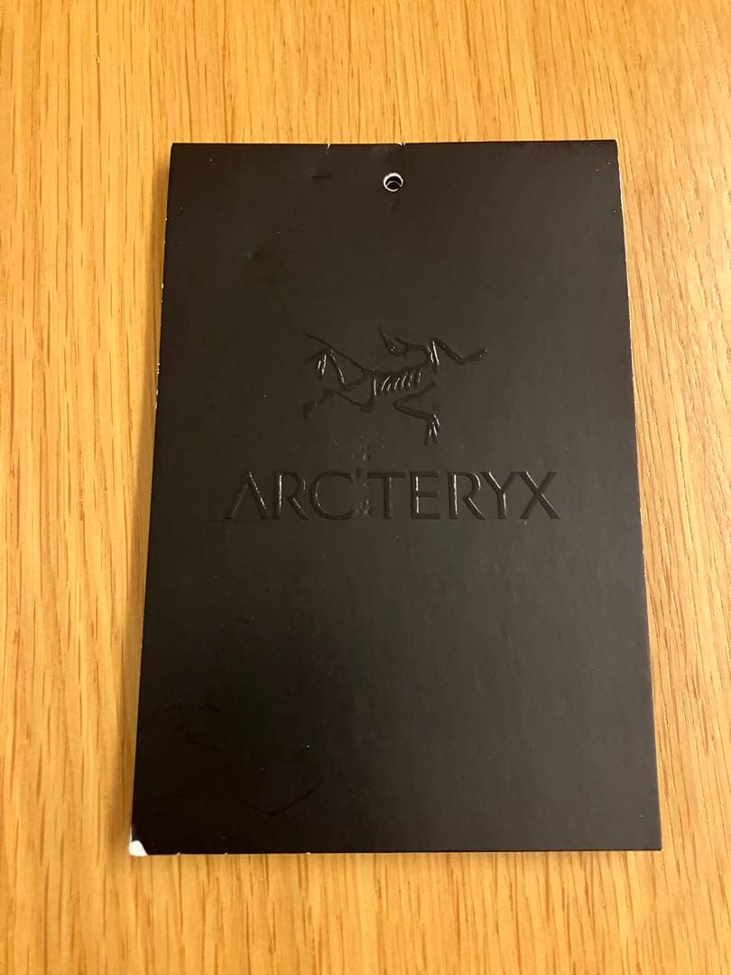 アークテリクス　スコーミッシュフーディ メンズ　M